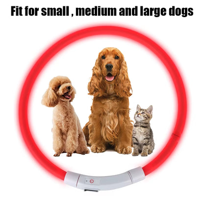 Night Safety Flashing Glow Collar Night Luminous Charge Collar Led Usb Dog Collar Pet Accessories Dog Accessories