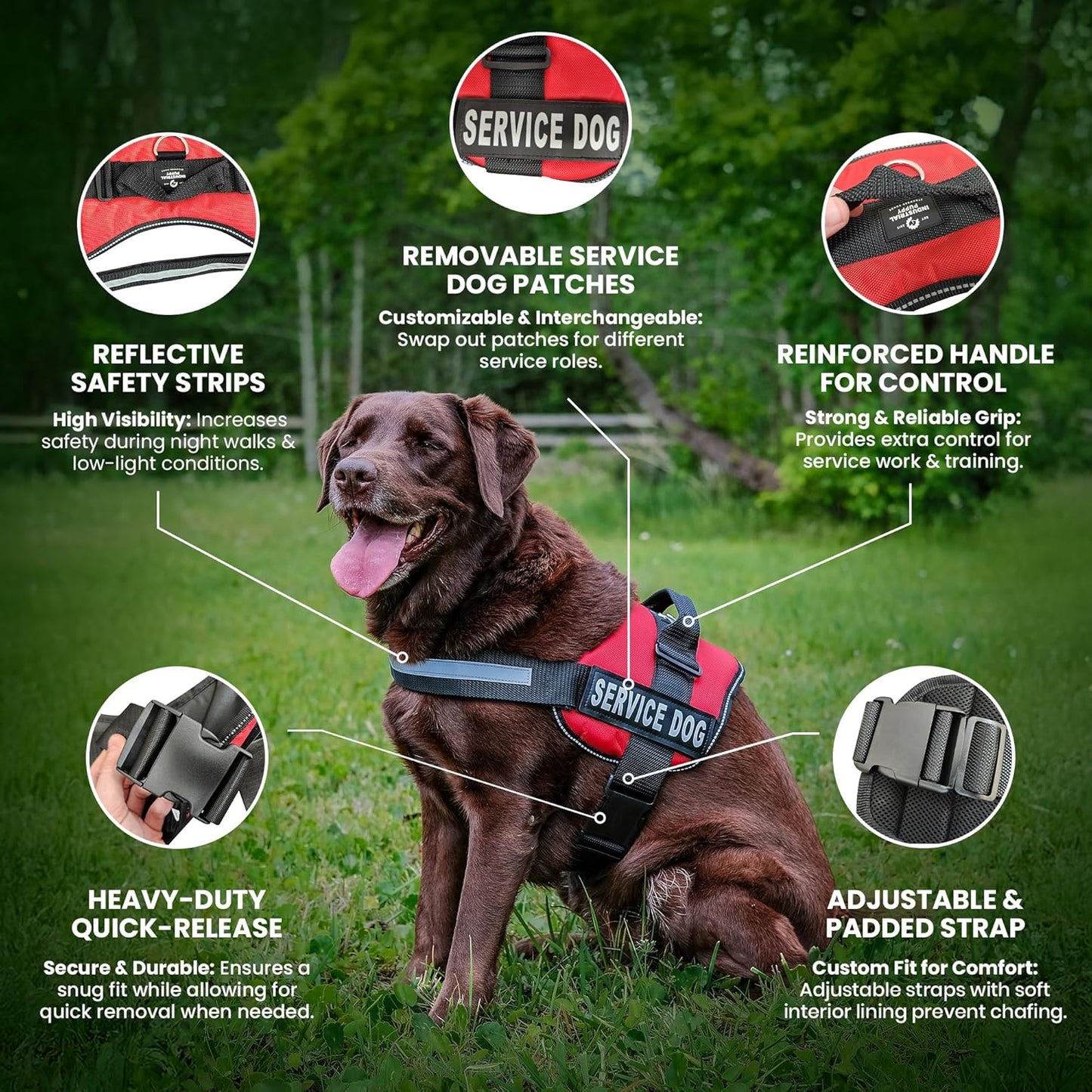 Service Dog Vest with Hook and Loop Straps & Matching Service Dog Leash Set - Harnesses from XXS to XXL - Harness Features Reflective Patch and Comfortable Mesh Design (Black, XXS)