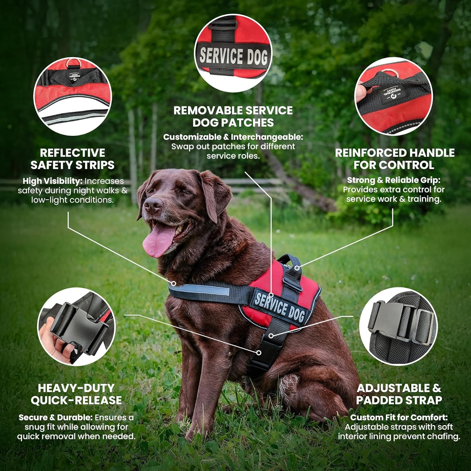 Service Dog Vest with Hook and Loop Straps & Matching Service Dog Leash Set - Harnesses from XXS to XXL - Harness Features Reflective Patch and Comfortable Mesh Design (Black, XXS)