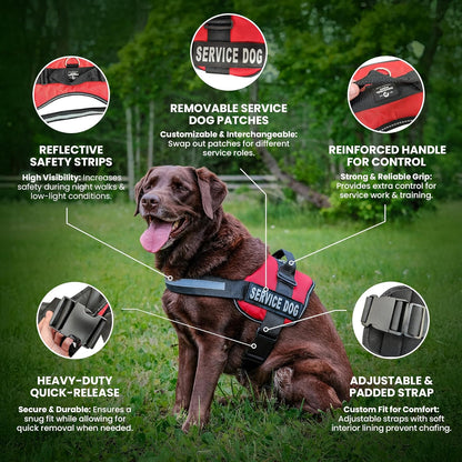Service Dog Vest with Hook and Loop Straps & Matching Service Dog Leash Set - Harnesses from XXS to XXL - Harness Features Reflective Patch and Comfortable Mesh Design (Black, XXS)