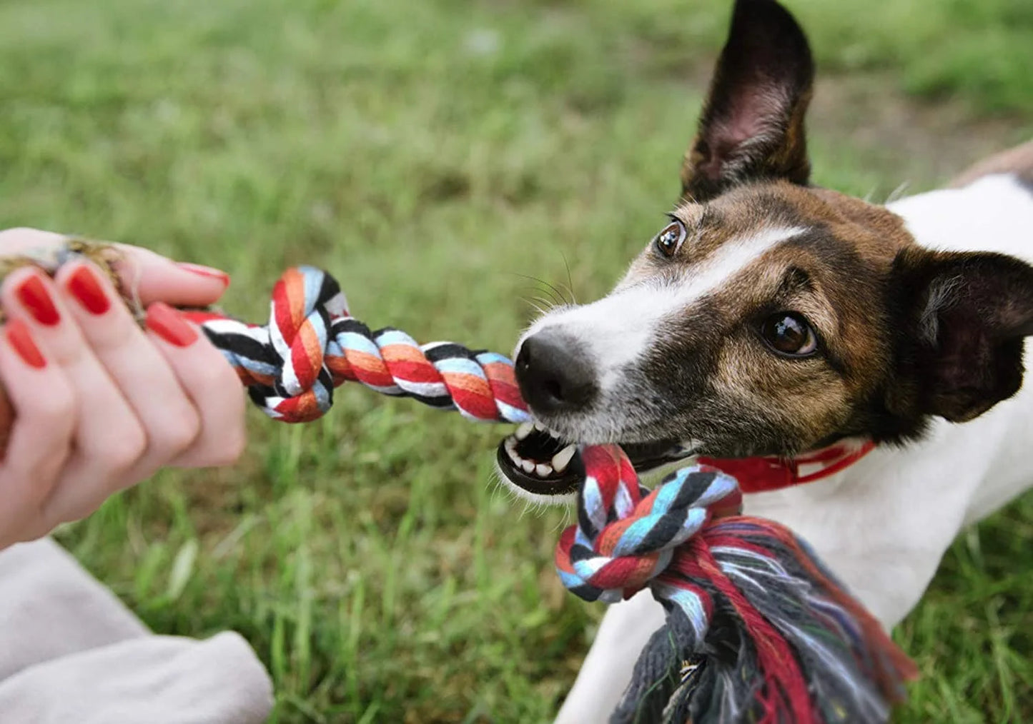 Dog Rope Toys 4 Pack, Sturdy Cotton Chew Tug Ropes Indoor/Outdoor, Exercise Interactive Tug of War Toys Set for Boredom Small-Meidum Dogs
