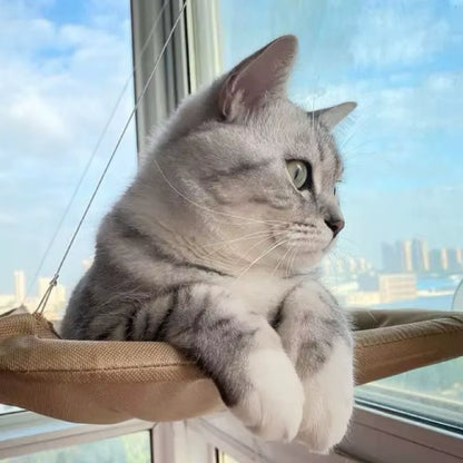Cat Hammock Hanging Cat Bed Bearing Comfortable Cat Sunny Window Feline Naptime Seat Mount Kitten Climbing Frame Pet Product