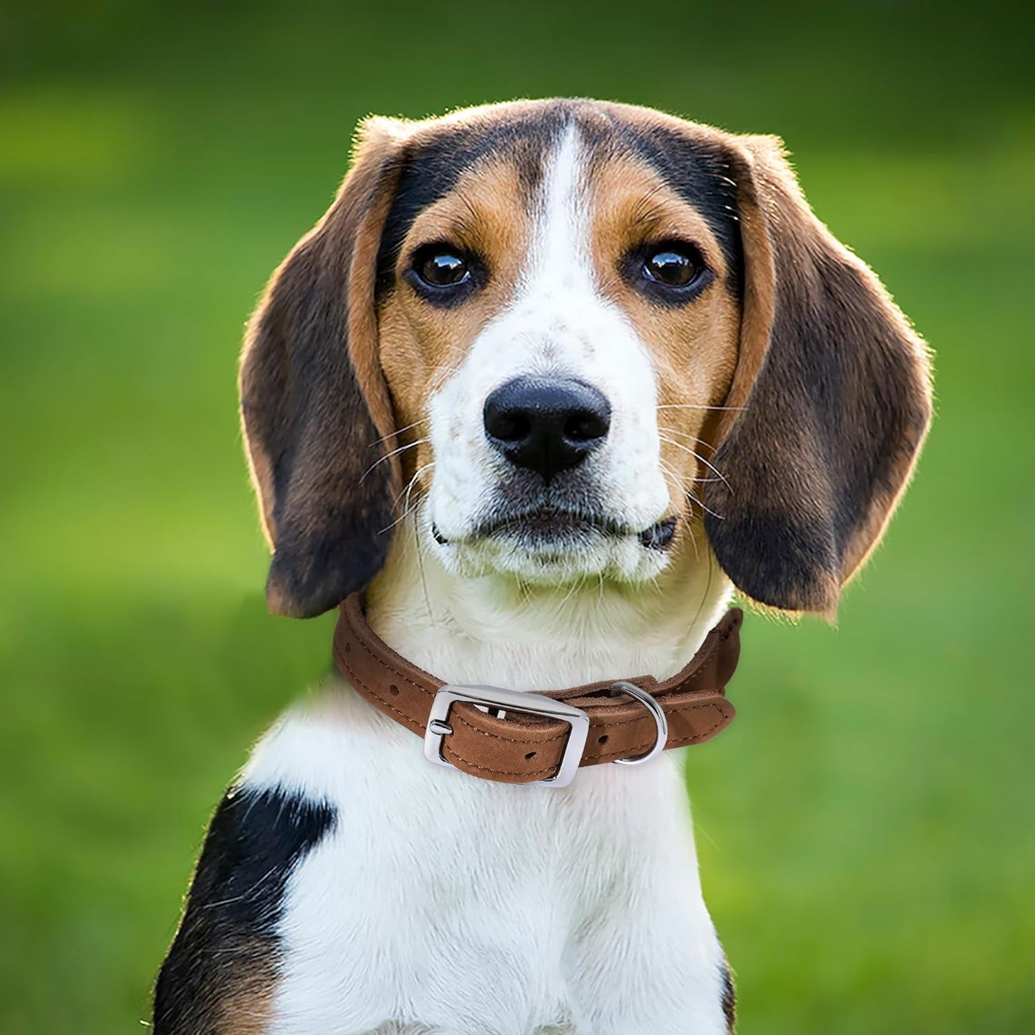 Rope Dog Collar | Durable Braided Cotton Rope Collars | Genuine Leather Dog Collar W Metal Pin Buckle | Classic Puppy Collars for Medium Dog (Dark Brown)