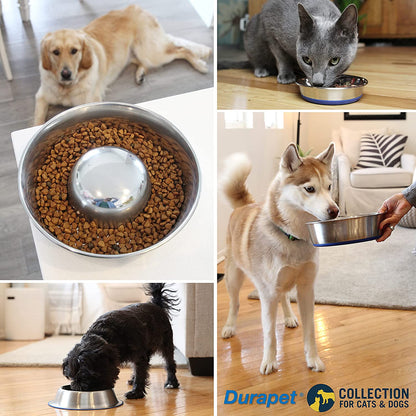 Ourpet'S Durapet Premium Dishwasher Safe Stainless Steel Dog Bowl for Food or Water [Multiple Sizes for Small to Large Dogs] in Traditional or Wide Base Design - 8 CUP