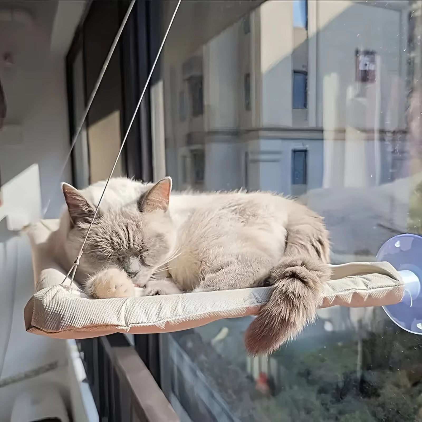 Cat Hammock Hanging Cat Bed Bearing Comfortable Cat Sunny Window Feline Naptime Seat Mount Kitten Climbing Frame Pet Product