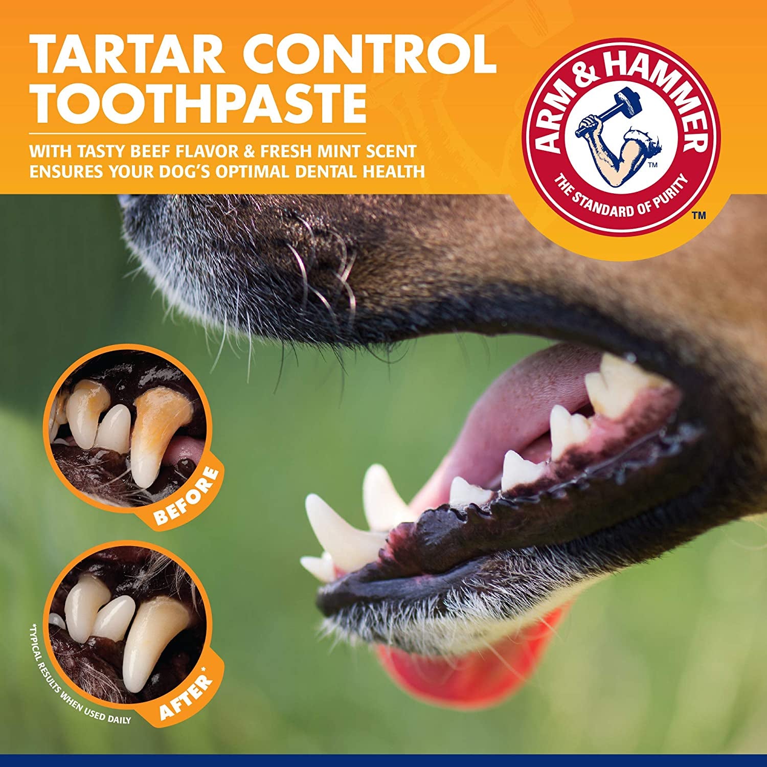 for Pets Tartar Control Dog Dental Kit, Enzymatic Toothpaste with Toothbrush and Fingerbrush, Baking Soda Formula Reduces Plaque and Tartar, Safe for Puppies, Beef Flavor, 3-Piece